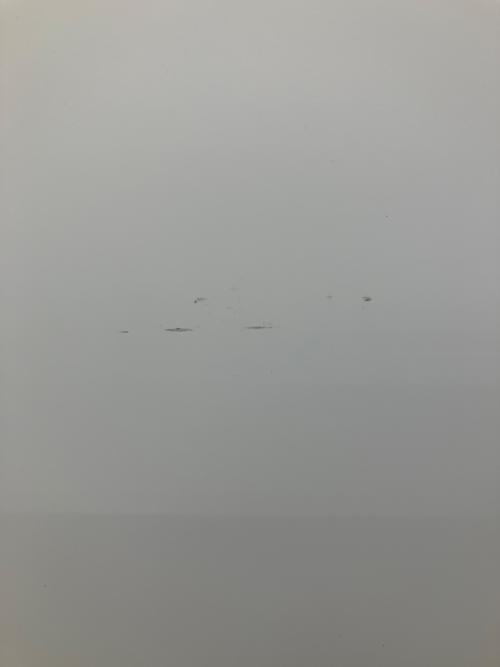 HITACHI (ヒタチ) 6ドア冷蔵庫 R-H49X 2025年製 485L