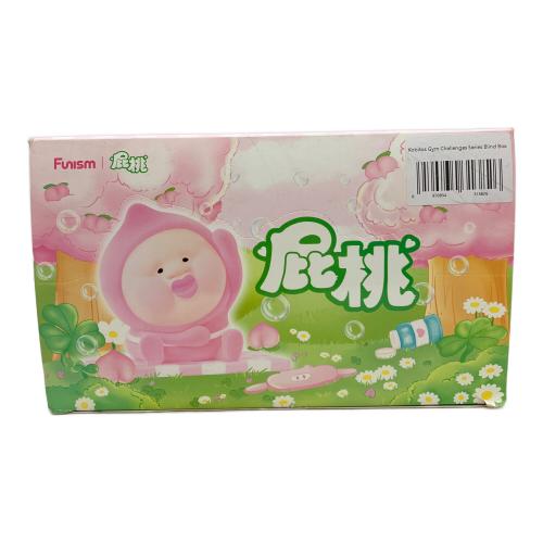 funism こびとづかん ジムチャレンジシリーズ ブラインドボックス