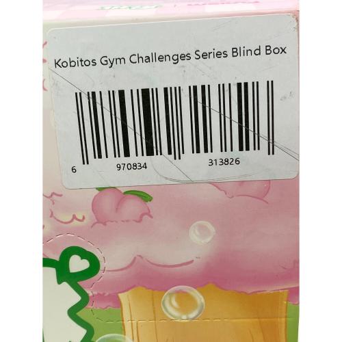 funism こびとづかん ジムチャレンジシリーズ ブラインドボックス