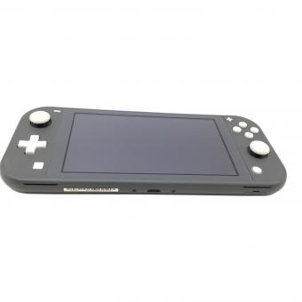Nintendo (ニンテンドー) Nintendo Switch Lite HDH-001 液晶ヤケ有
