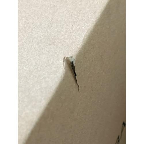 BALMUDA (バルミューダ) オーブンレンジ K09A-WH