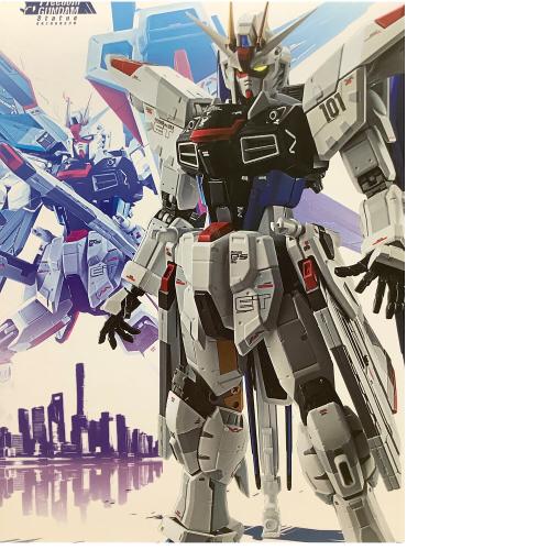 超合金 ZGMF-X10A フリーダムガンダム Ver.GCP (魂ウェブ商店限定) フィギュア
