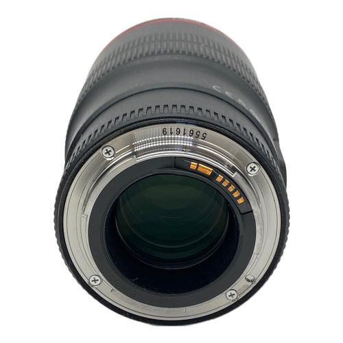 CANON (キヤノン) 単焦点レンズ MACRO 100mm