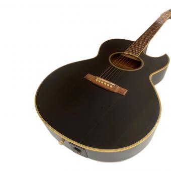 Washburn (ワッシュバーン) エレアコギター EA20MB J.E LEE