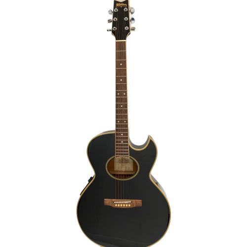 Washburn (ワッシュバーン) エレアコギター EA20MB J.E LEE