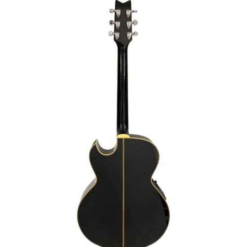 Washburn (ワッシュバーン) エレアコギター EA20MB J.E LEE