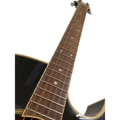 Washburn (ワッシュバーン) エレアコギター EA20MB J.E LEE