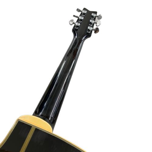 Washburn (ワッシュバーン) エレアコギター EA20MB J.E LEE