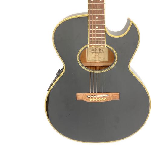 Washburn (ワッシュバーン) エレアコギター EA20MB J.E LEE
