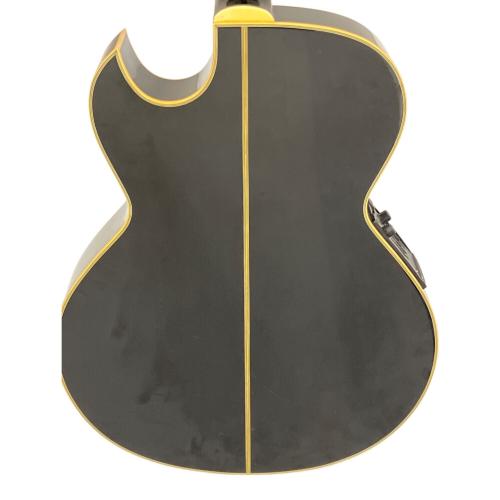 Washburn (ワッシュバーン) エレアコギター EA20MB J.E LEE