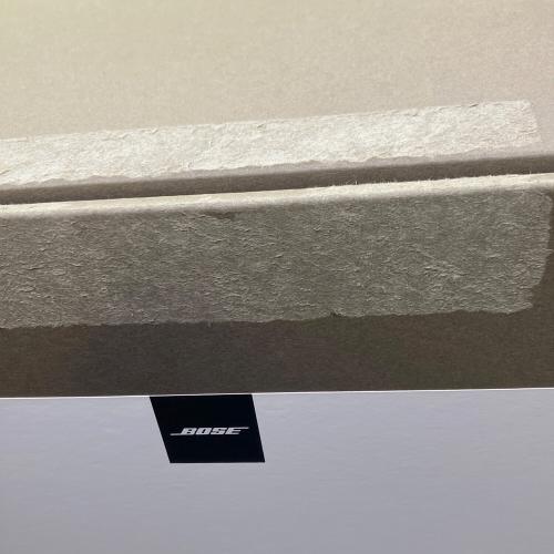 BOSE (ボーズ) サブウーファー MODULE 500