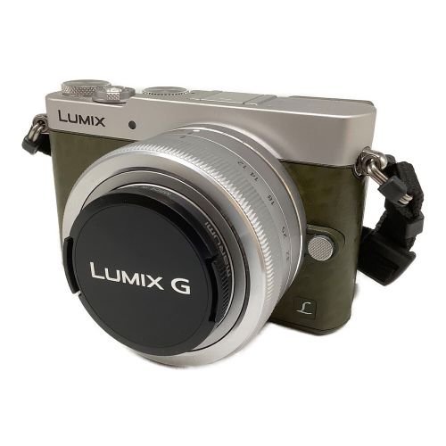 Panasonic (パナソニック) デジタルカメラ LUMIX DMC-GM5 専用電池