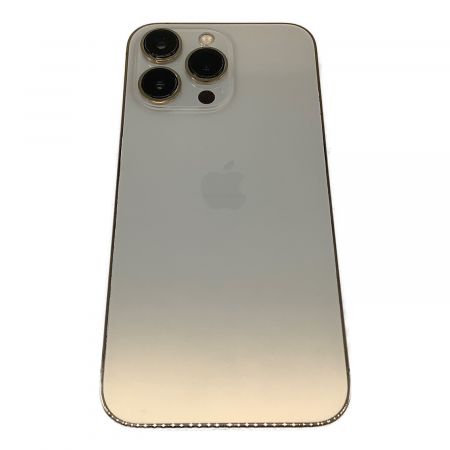 Apple iPhone13 Pro