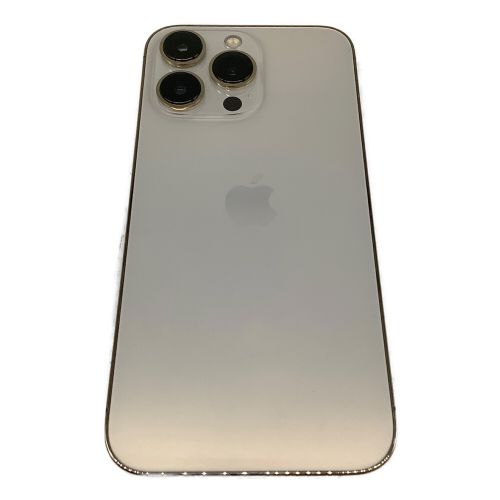 Apple iPhone13 Pro