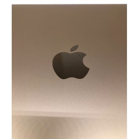 Apple (アップル) MacBook Air 表面キズ有 A2179 13.3インチ Mac OS Core i3 メモリ:8GB 250GB FVFCKCN1MNHR