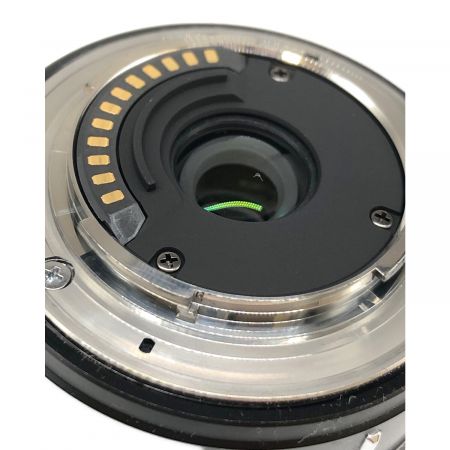 Nikon (ニコン) ミラーレス一眼カメラ 標準パワーズームレンズキット NIKON 1 V3 1839万画素(有効画素 13.2mm×8.8mm CMOS 専用電池 21005364