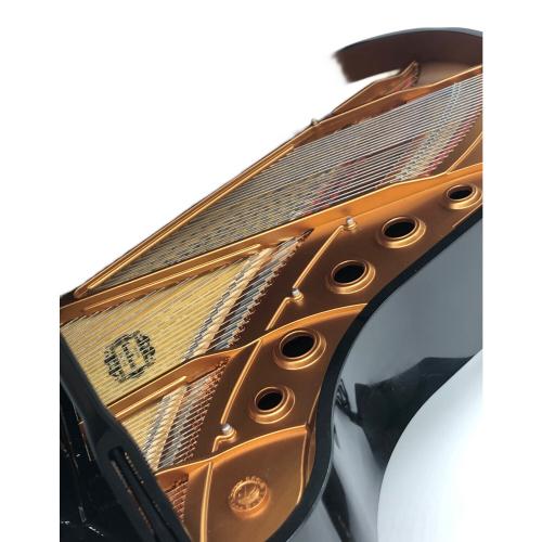 SEGA TOYS (セガトイズ) GRAND PIANIST ※音声反応難有