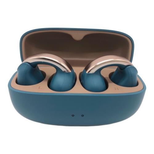 Victor (ビクター) ワイヤレスイヤホン HA-NP1T 動作確認済み