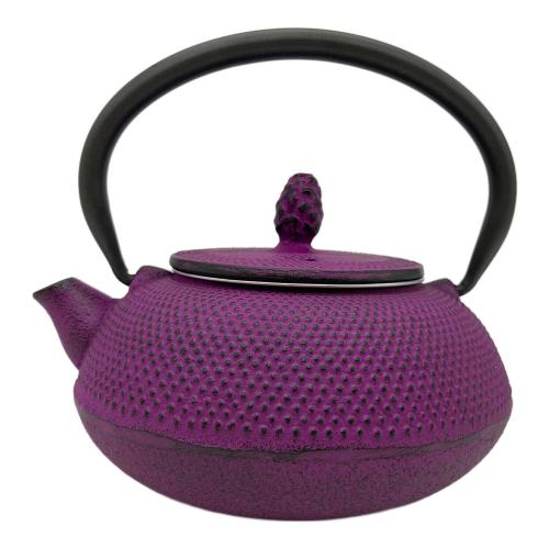 ROJI (ロジ) 急須 南部鉄器