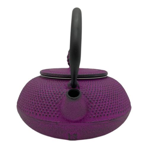 ROJI (ロジ) 急須 南部鉄器