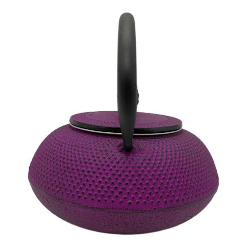 ROJI (ロジ) 急須 南部鉄器