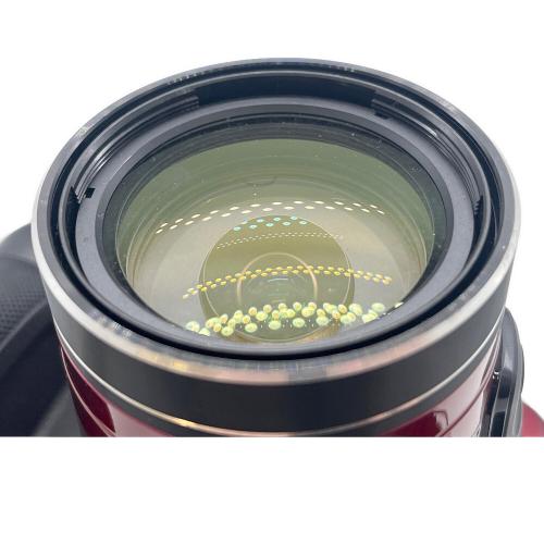 Nikon (ニコン) デジタル一眼レフカメラ COOLPIX P610 ※液晶ヤケ有