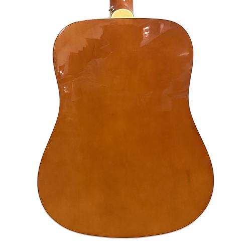 EPIPHONE (エピフォン) アコースティックギター DOVE PRO VB