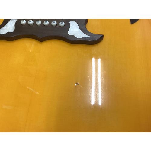 EPIPHONE (エピフォン) アコースティックギター DOVE PRO VB