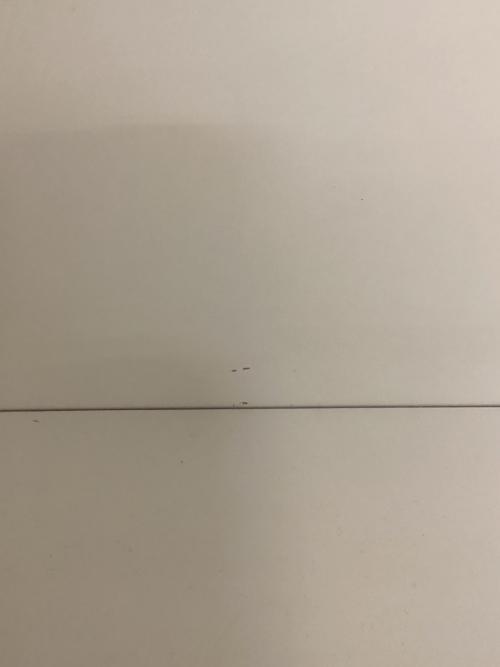 松田家具 (マツダカグ) レンジボード 218 ホワイト