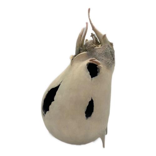 うら孵し 川島 まひろ