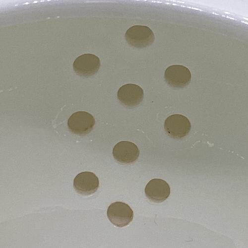 Noritake (ノリタケ) ティーポット 延年舞　4542
