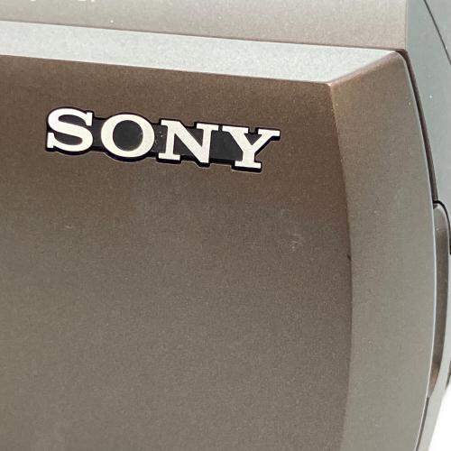 SONY (ソニー) デジタル4Kビデオカメラ ハンディカム FDR-AX45