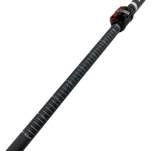MSR (エムエスアール) トレッキングポール ブラック DYNALOCK EXPLORE