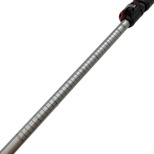 MSR (エムエスアール) トレッキングポール ブラック DYNALOCK EXPLORE