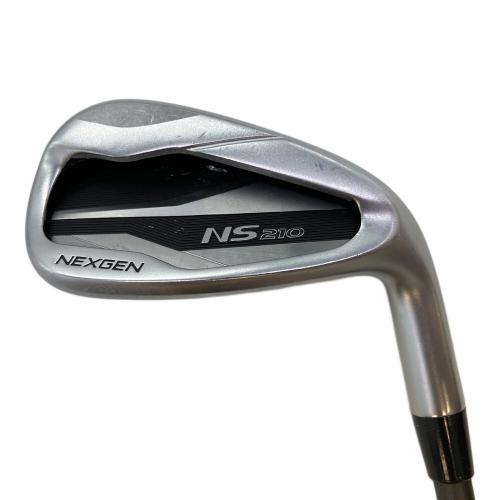 NEXGEN (ネクスジェン) EI-F NP210 アイアン 8番