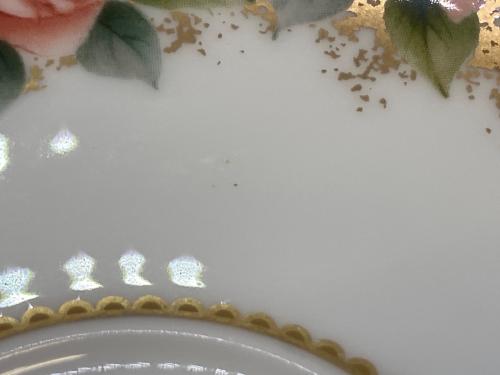 Noritake (ノリタケ) カップ&ソーサー 100周年アニバーサリー