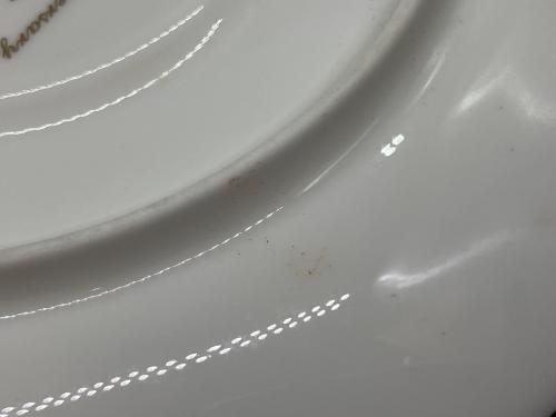 Noritake (ノリタケ) カップ&ソーサー 100周年アニバーサリー