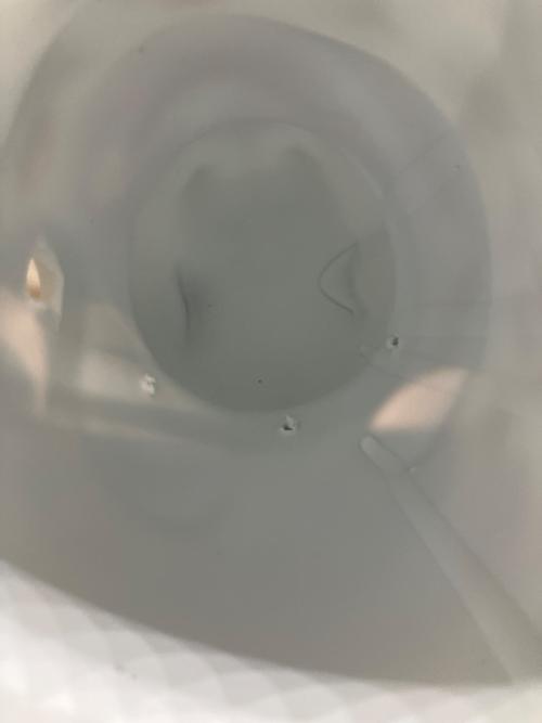 招き猫 伊万里焼