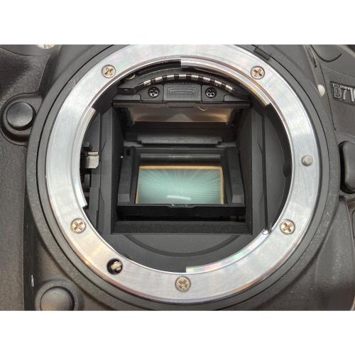 Nikon (ニコン) 一眼レフカメラ D7100