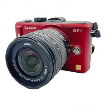 Panasonic (パナソニック) ミラーレス一眼カメラ 2009年発売モデル DMC-GF1 専用電池 FV9SA101613