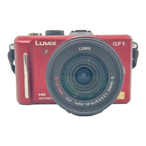 Panasonic (パナソニック) ミラーレス一眼カメラ 2009年発売モデル DMC-GF1 専用電池 FV9SA101613