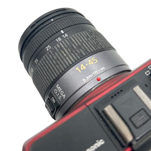 Panasonic (パナソニック) ミラーレス一眼カメラ 2009年発売モデル DMC-GF1 専用電池 FV9SA101613