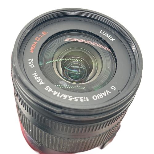 Panasonic (パナソニック) ミラーレス一眼カメラ 2009年発売モデル DMC-GF1 専用電池 FV9SA101613