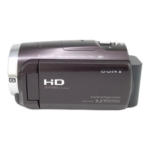 SONY (ソニー) デジタルビデオカメラ HDR-CX675 251万画素 SDXCカード対応 3035576