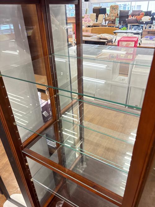 LYNN HOLLYN (リンホーリン) コレクションケース ブラウン 85 1枚ガラス扉