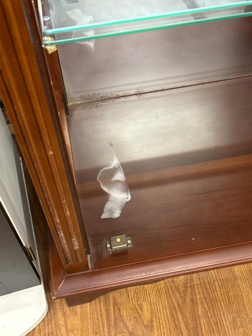 LYNN HOLLYN (リンホーリン) コレクションケース ブラウン 85 1枚ガラス扉