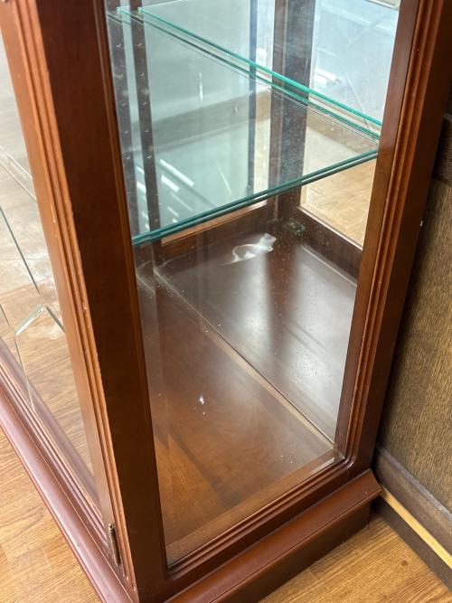 LYNN HOLLYN (リンホーリン) コレクションケース ブラウン 85 1枚ガラス扉