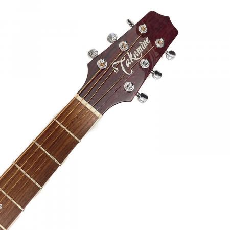 Takamine (タカミネ) エレキアコースティックギター @ Π DSP110