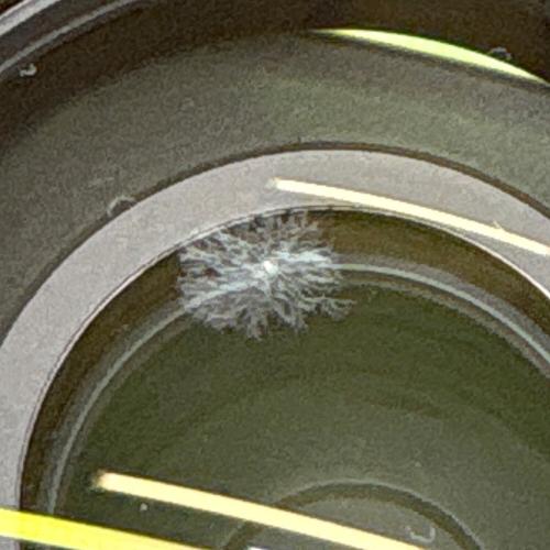 Nikon (ニコン) ズームレンズ AF-S VR