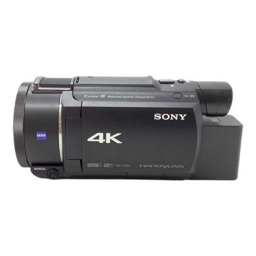 SONY (ソニー) デジタルビデオカメラ FDR-AX60